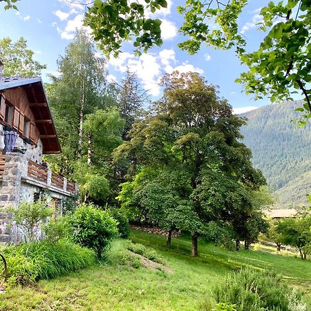 Chalet Le Tilleul Вільдеблор Екстер'єр фото